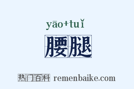 腰腿是什么意思的图片